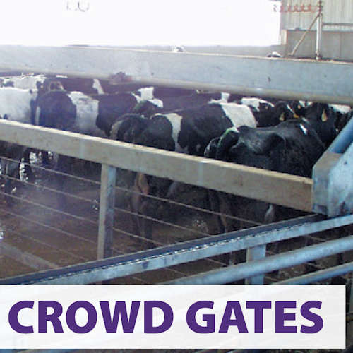 Crowd Gates